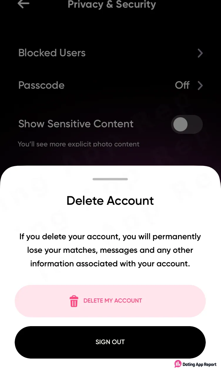 The deletion prompt warns that matches, messages, and other account information will be permanently lost.