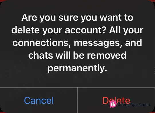 YOLO’s account-deletion confirmation warns that all connections, messages, and chats will be removed permanently.