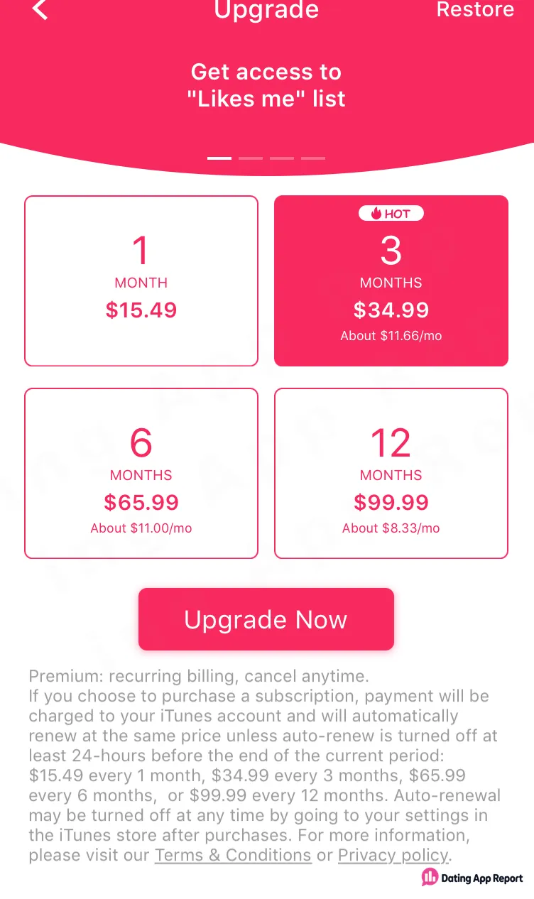 Upgrade screen listing 3Somer Premium plans: $15.49 for 1 month, $34.99 for 3, $65.99 for 6, $99.99 for 12 months.