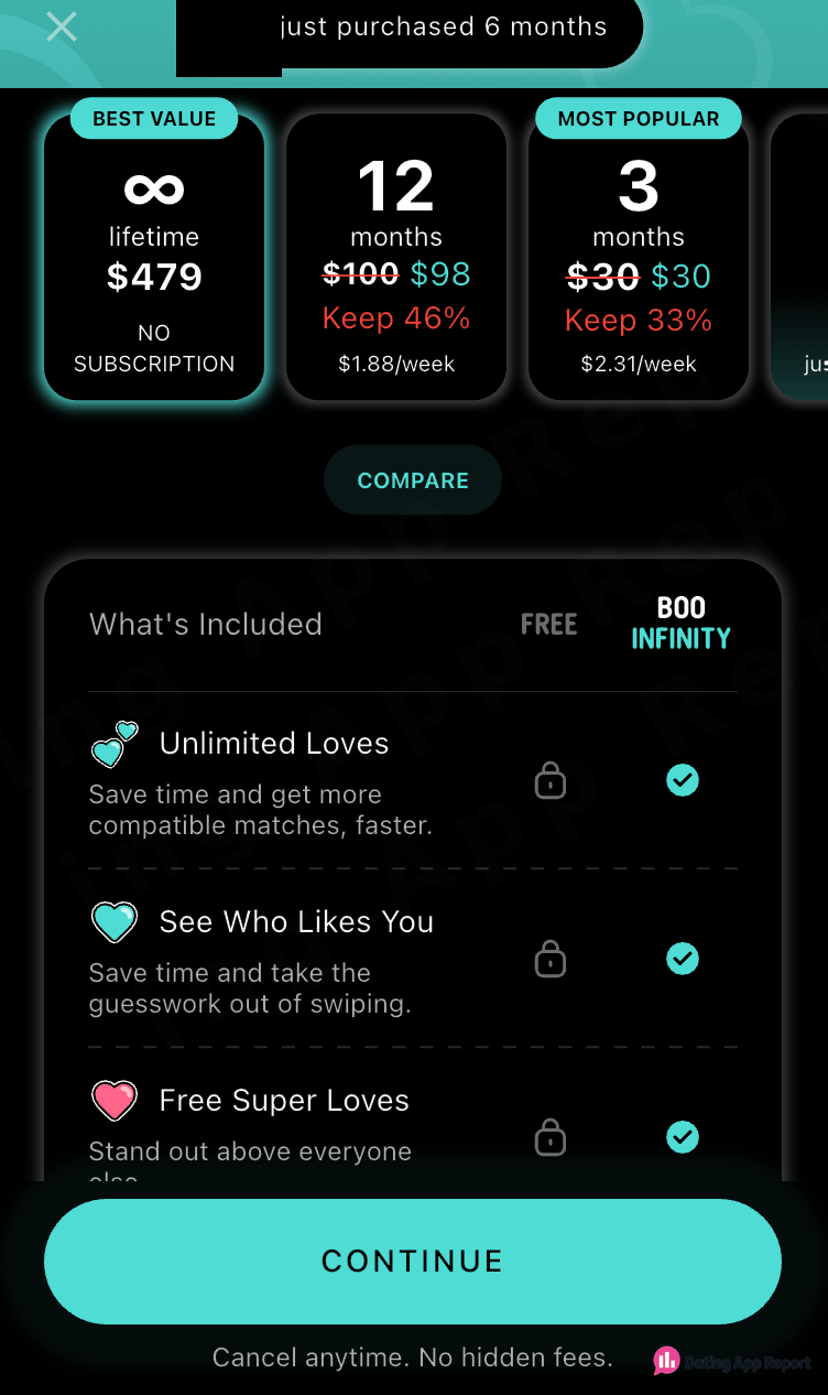 Boo Infinity displays a $479 lifetime option labeled “NO SUBSCRIPTION.”