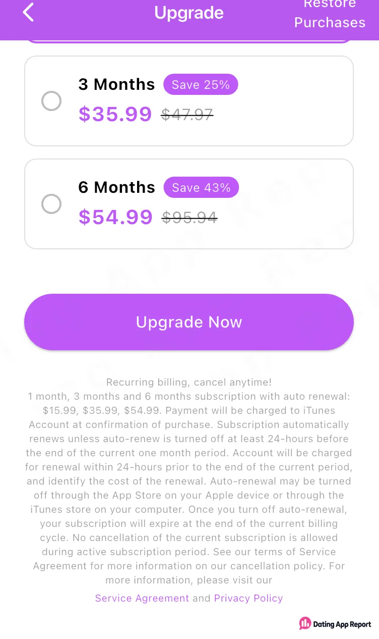 Upgrade disclosure stating that auto-renew must be turned off at least 24 hours before the current period ends.