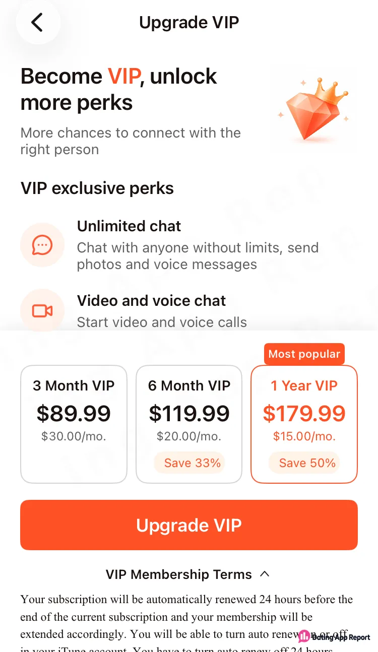 Upgrade VIP screen lists 3-month, 6-month and 1-year plans, with terms saying subscriptions renew automatically.